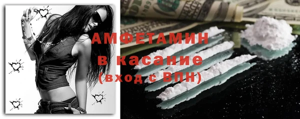 прущие грибы Дмитров