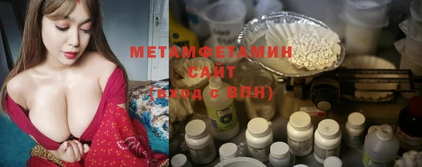 ПСИЛОЦИБИНОВЫЕ ГРИБЫ Дмитриев