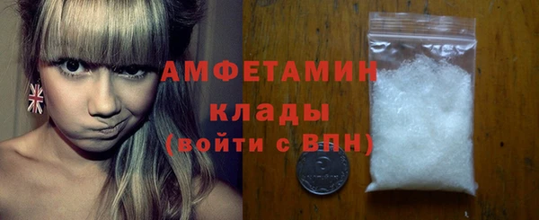 гашик Дмитровск