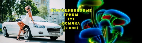 гашик Дмитровск