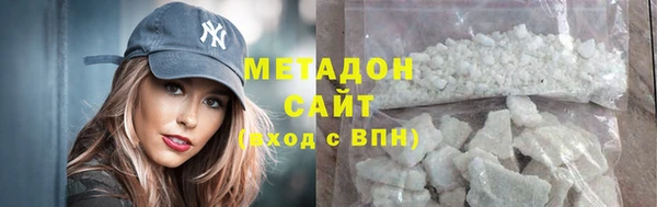прущие грибы Дмитров