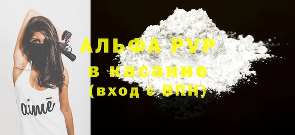 прущие грибы Дмитров