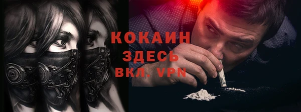 гашик Дмитровск
