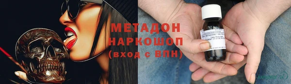ПСИЛОЦИБИНОВЫЕ ГРИБЫ Дмитриев