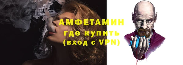 прущие грибы Дмитров