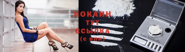 прущие грибы Дмитров
