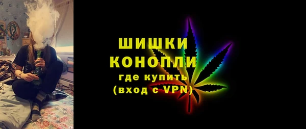 прущие грибы Дмитров
