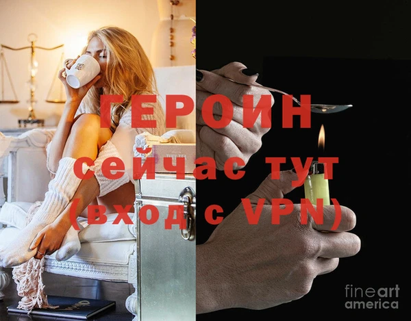 гашик Дмитровск