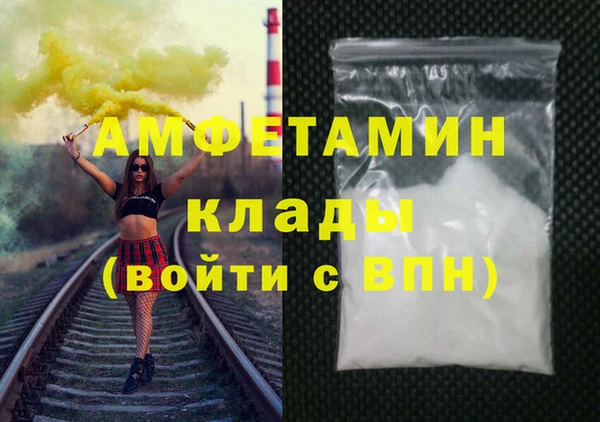 ПСИЛОЦИБИНОВЫЕ ГРИБЫ Дмитриев