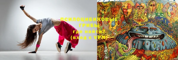 ПСИЛОЦИБИНОВЫЕ ГРИБЫ Дмитриев