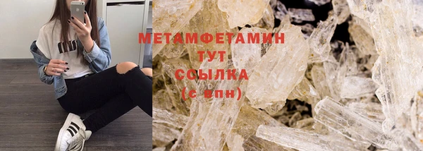 прущие грибы Дмитров