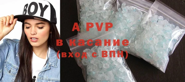 гашик Дмитровск