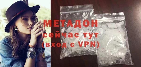 ПСИЛОЦИБИНОВЫЕ ГРИБЫ Дмитриев