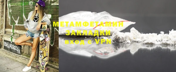 прущие грибы Дмитров