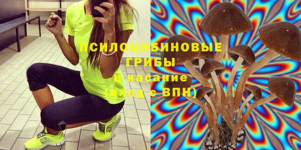 гашик Дмитровск