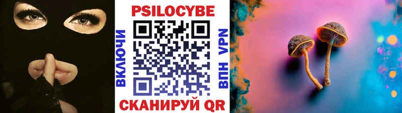 Купить где  Сосновый Бор  Псилоцибиновые грибы Psilocybine cubensis 