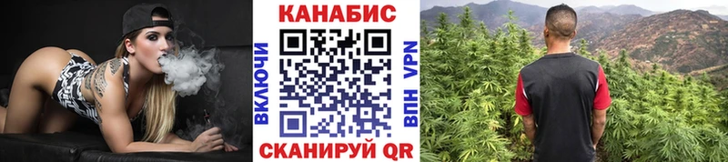 Купить закладки  Сосновый Бор  Шишки марихуана VHQ 